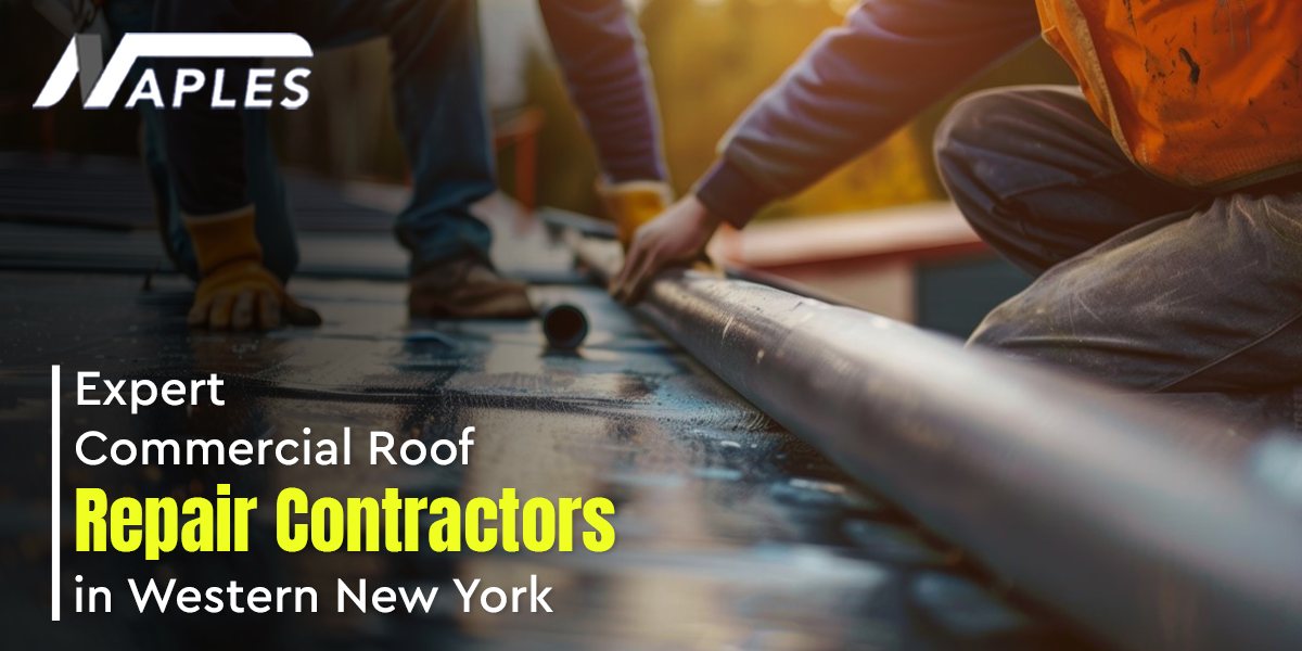 Roof Repair Contractor