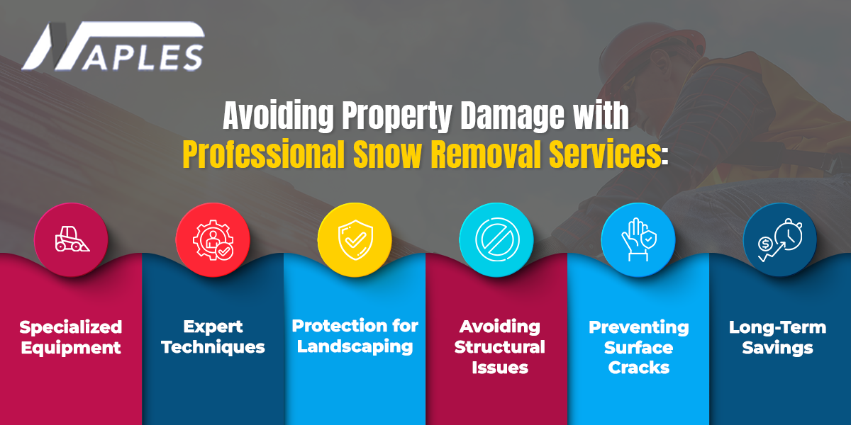 Professional Snow Removal Services