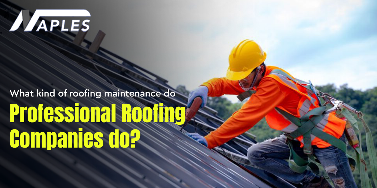 Commercial Roof Maintenance