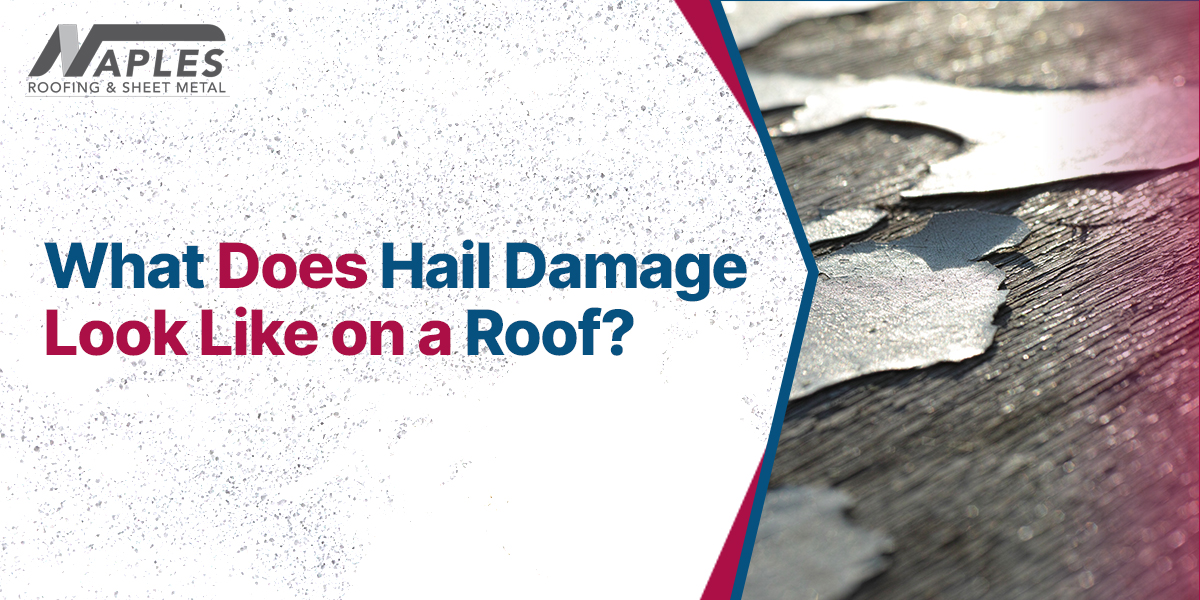 hail damage roof