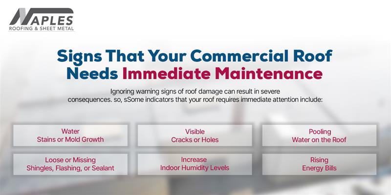 Commercial Roof Needs Immediate Maintenance