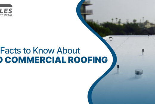 TPO Commercial Roofing