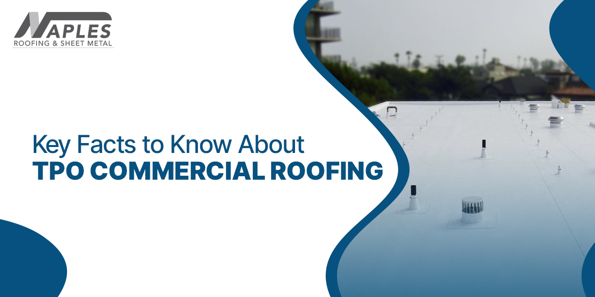 TPO Commercial Roofing
