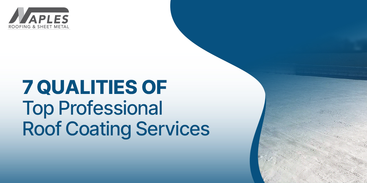 professional roof coating services