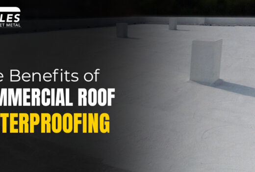 Roof Waterproofing