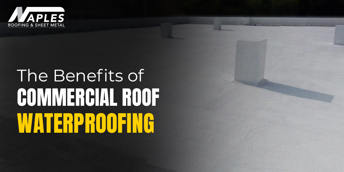 Roof Waterproofing