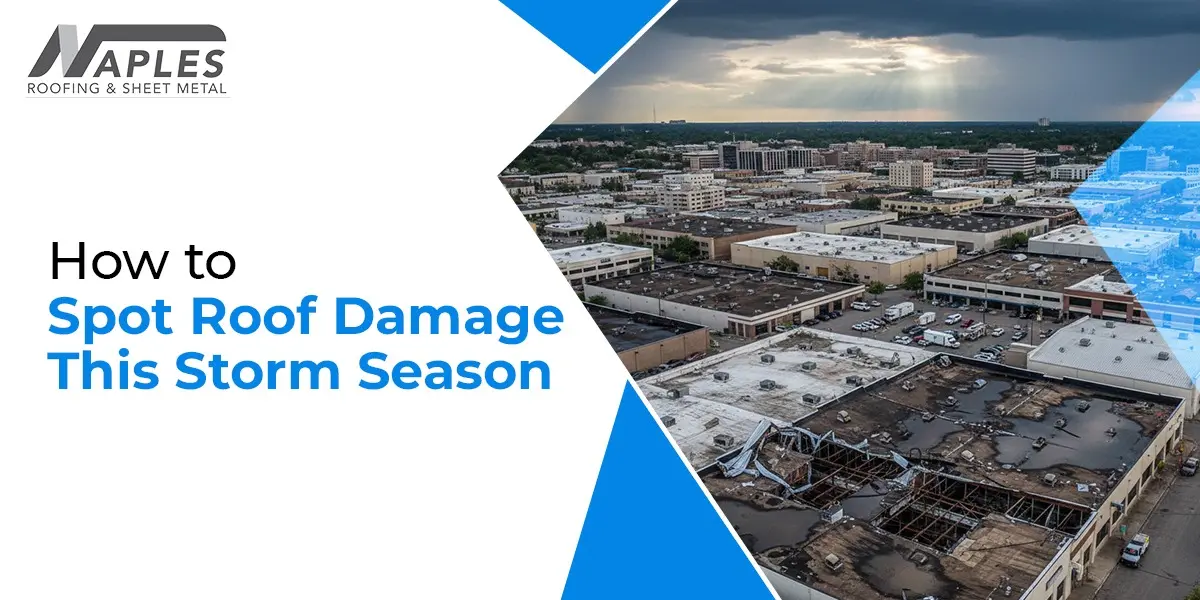 Spot Roof Damage This Storm Season