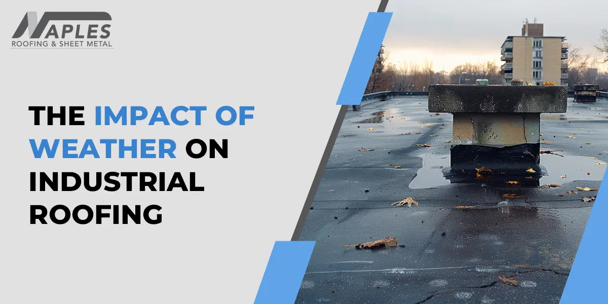 impact of weather