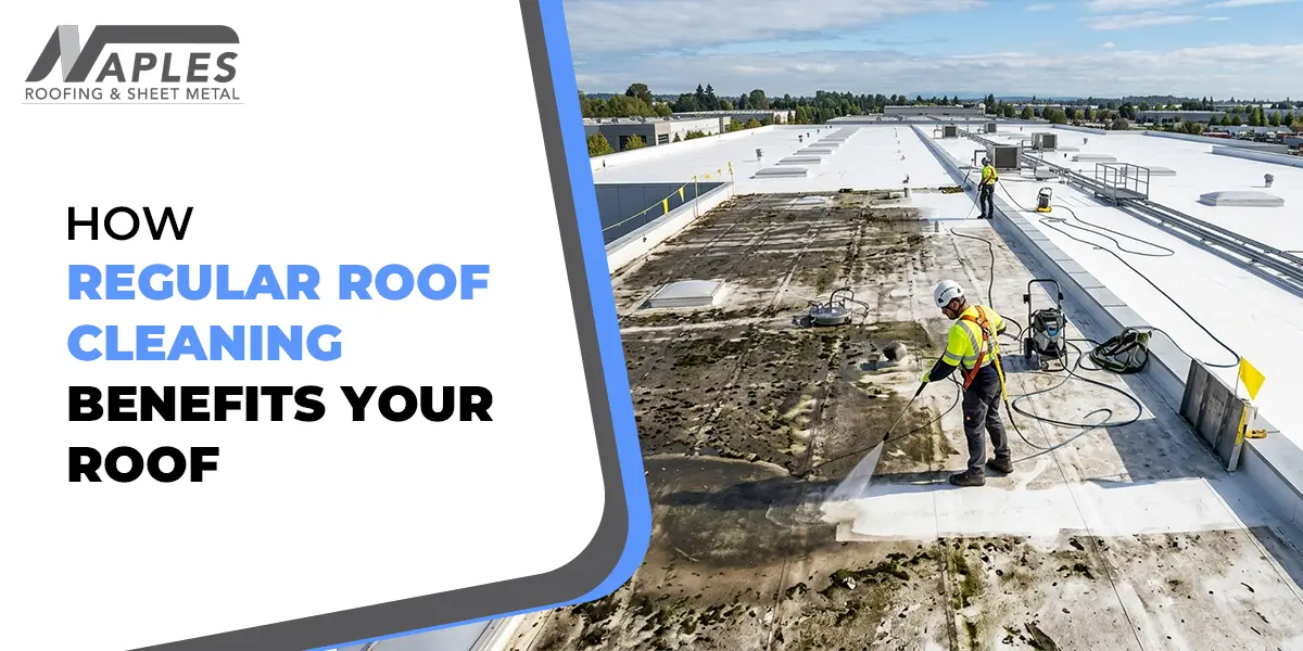 Clean Line Roof How Regular Roof Cleaning Benefits Your Roof