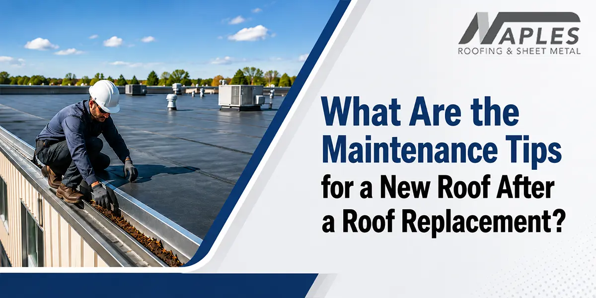 Maintenance Tips For A New Roof After A Roof Replacement