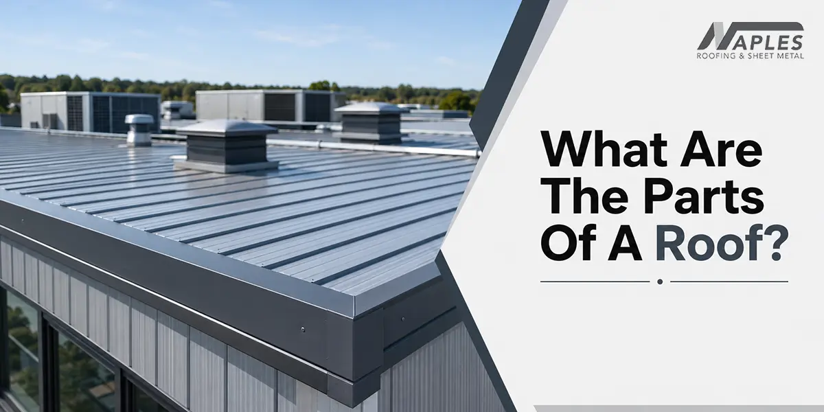parts of roof