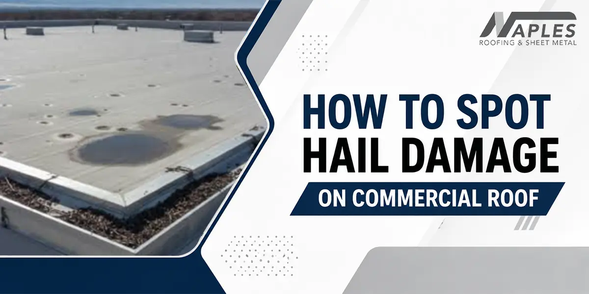 spot hail damage on roof