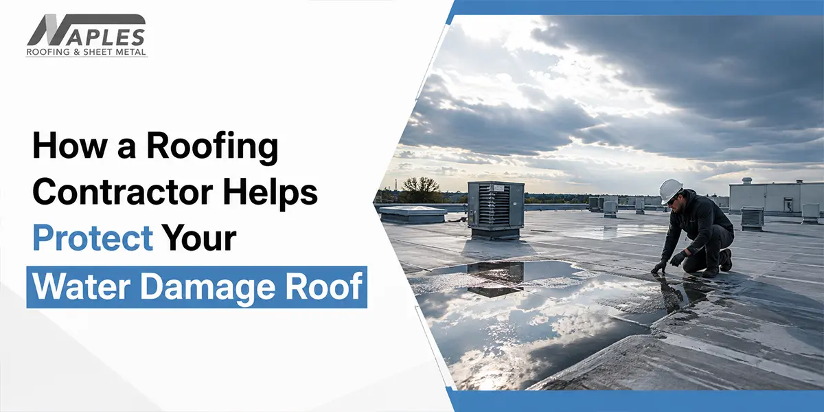 protect your roof from water damage